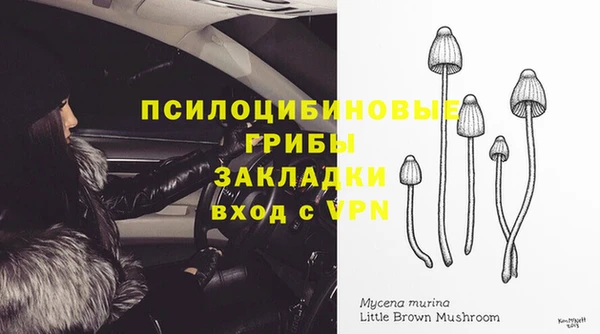 соль курить ск Абаза