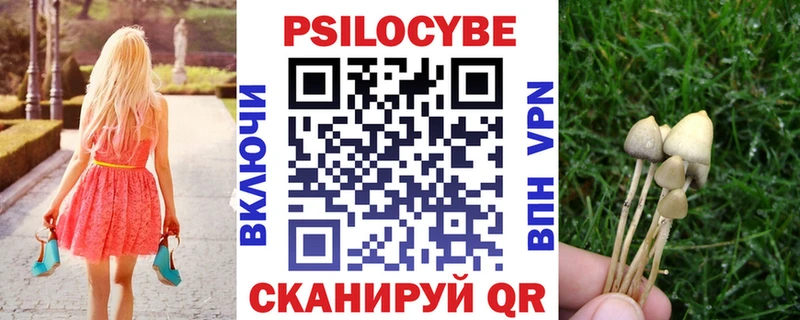 Псилоцибиновые грибы Psilocybe  ОМГ ОМГ рабочий сайт  Усмань 